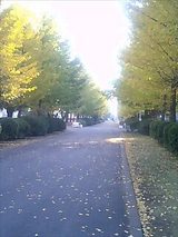 143c4a02.jpg