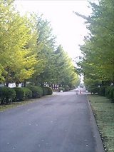 20a34ccd.jpg