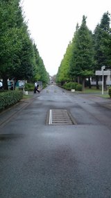 2f00a123.jpg