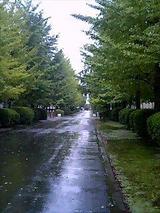 3aa11060.JPG