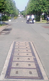 417d2e1d.jpg