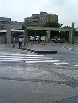 514121ec.jpg