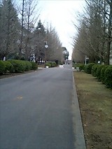 5380b373.jpg