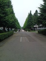 67df3503.jpg