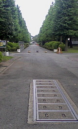 86234b5e.jpg