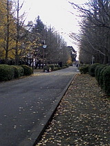 868a034e.jpg