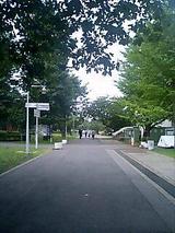 �ꤳ��