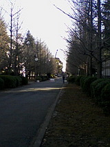afc83789.jpg