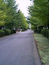 b7900b53.JPG