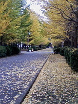 d57860d1.jpg