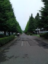 e5df87a0.jpg