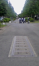 f1f99897.JPG
