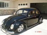 54 BUG 001