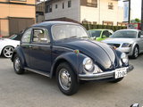 stock-70bug-001