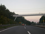 kyoto02