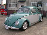 stock58bug001