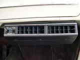 65bug-cooler