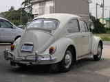 65bug-rearview