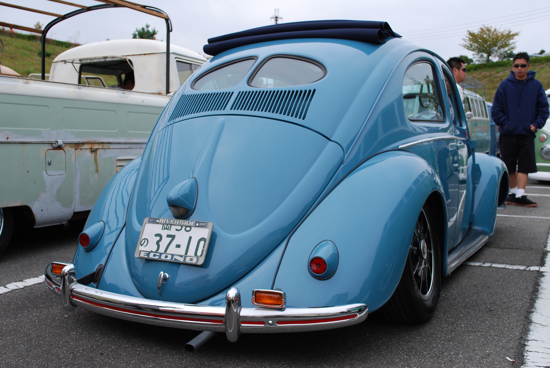 Image may have been reduced in size. Click image to view fullscreen.