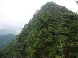 二股山_1