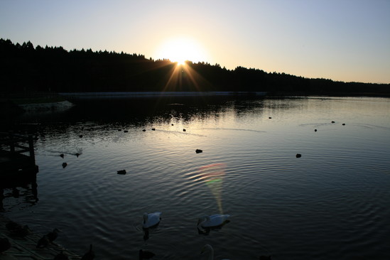 S-PARK1