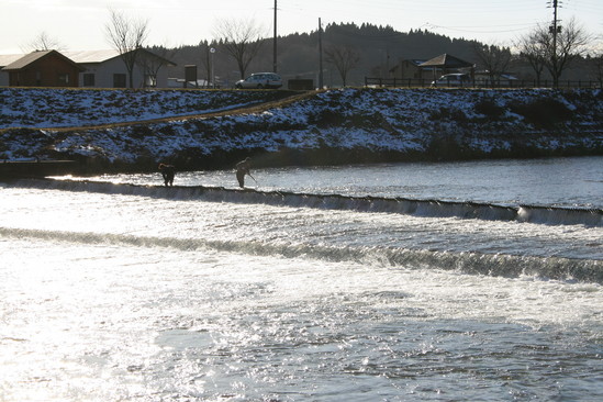 KAWA-3