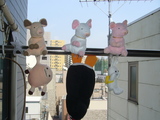 干してみた