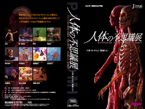 人体の不思議展。(画像パクリです)