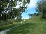one tree hill