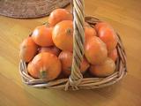 mikan
