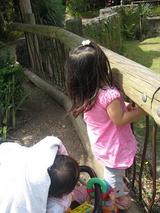 zoo1