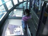skytowermarisa