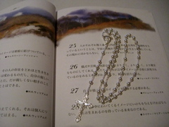 CIMG2123