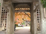 門
