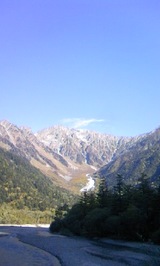 adca6235.jpg