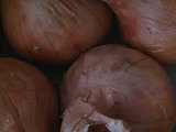 3e3f7969.JPG