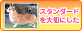 コーギーブリーダーファンキーカナオカケンネル