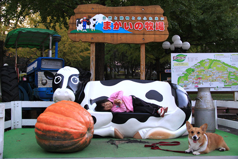 �ޤ������Ҿ�