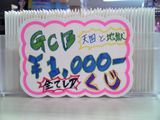 ������५���ɥӥ������ŷ����Ϲ�!!