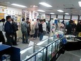 ŷ����Ϲ���3/28��24:50�ۡ�10/55��