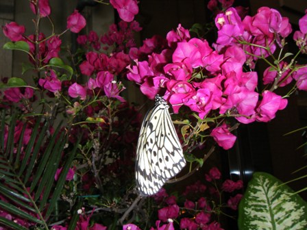 DSCF0854