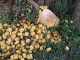 04-�������ڤβ�������