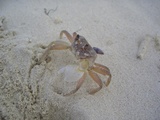 CIMG0081