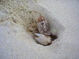 CIMG0079