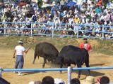 CIMG0067