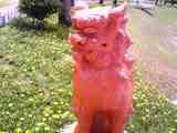 20080509FlowerShisa