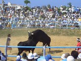 CIMG0075