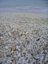 CIMG0088