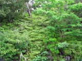 32-ή���褦�ʥ����η���