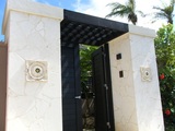 Allamanda-017